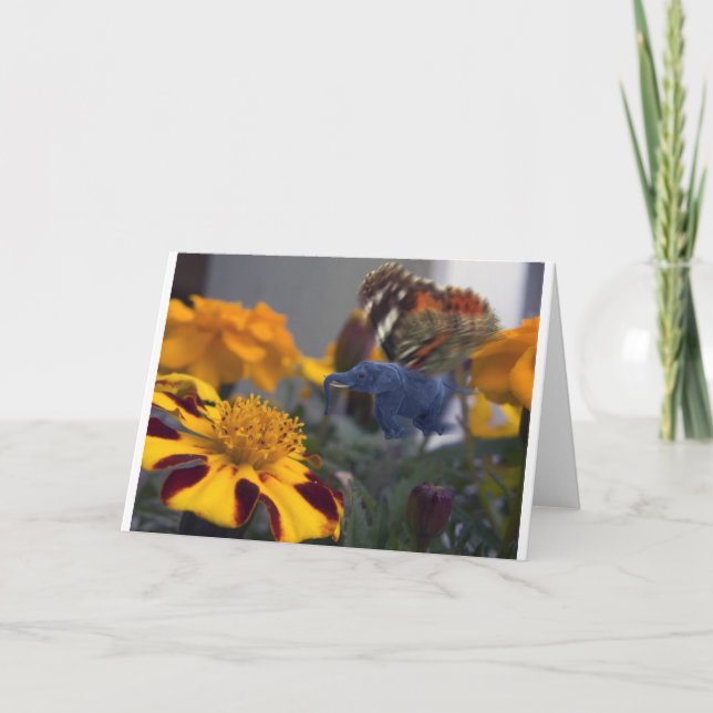 Buttephant Kort (Framsida)