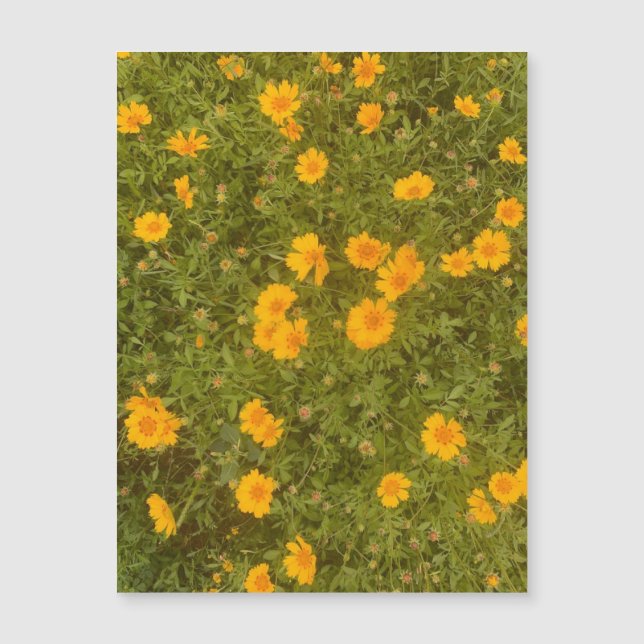 Butter Daisy Garden Magnet (Framsida)