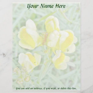 Butter 'n Eggs WildBlomLetterhead Brevhuvud