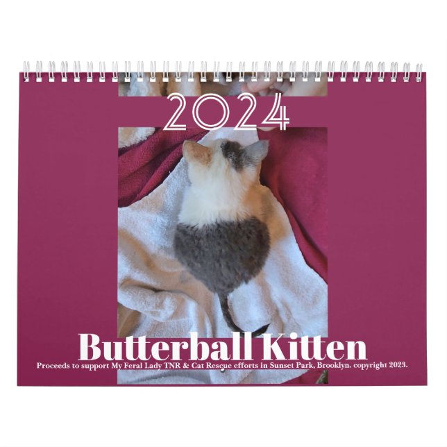 Butterball Kitten: Kalender 2024 (Omslag)