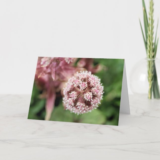 Butterbur Kort (Framsida)
