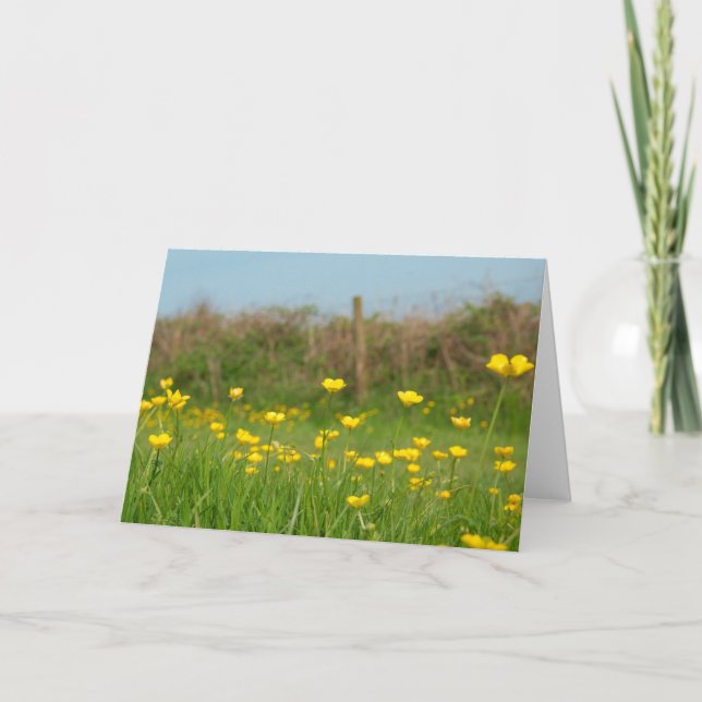 Butterceps Kort (Framsida)