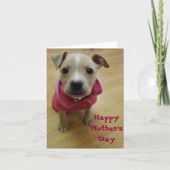 Buttercup Kort (Framsida)