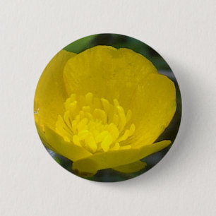 Buttercupen knäppas knapp
