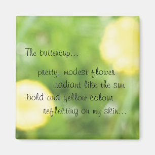 Buttercupmagnet Magnet