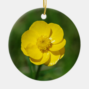 Buttercupprydnad Julgransprydnad Keramik