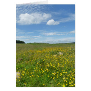 "Buttercups! ", Hälsningskort
