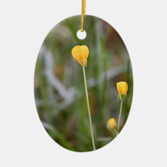 Buttercups Photo Ornament (Framsidan)