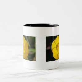 Buttercups Två-Tonad Mugg