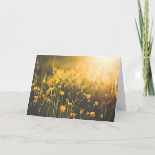 ButtercupSundown Kort
