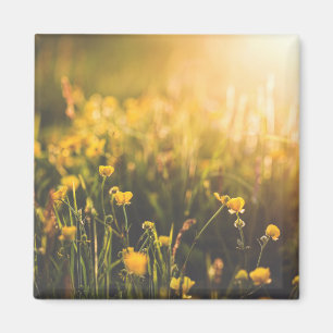 ButtercupSundown Magnet