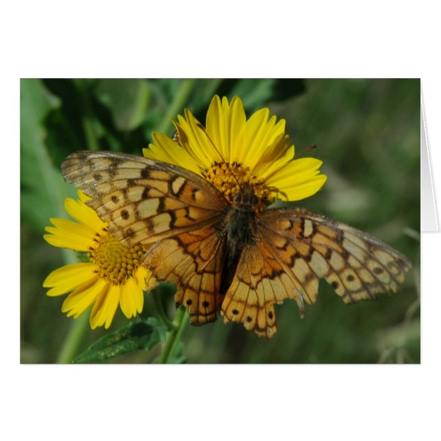 BUTTERFÄRDIG HÄLSNINGSKORT (Framsidan Horizontal)