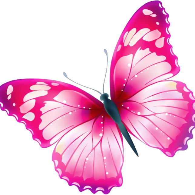 Butterflie t-shirt (Skapare uppladdad)