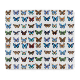 Butterflies