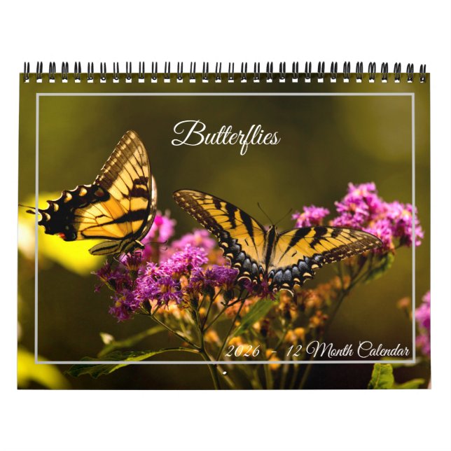 Butterflies 12 Month Calendar Kalender (Omslag)