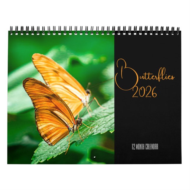Butterflies  12 Month Wall Calendar 2026 Kalender (Omslag)