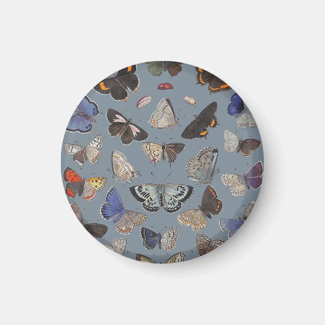 Butterflies, 1842 magnet (Framsidan)