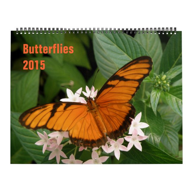 Butterflies 2015 Calendar Kalender (Omslag)