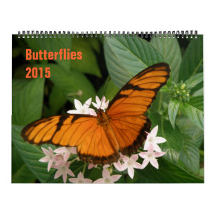 Butterflies 2015 Calendar Kalender