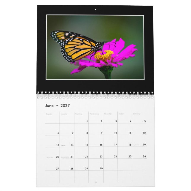 Butterflies 2020-kalender av Tom Minutolo Kalender (Jun 2027)