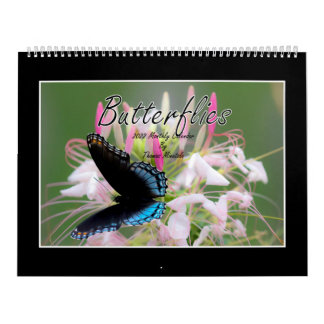 Butterflies 2022 Calendar by Tom Minutolo Kalender