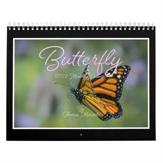 Butterflies 2023 Calendar by Tom Minutolo Kalender (Omslag)
