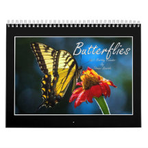 Butterflies 2023 Calendar by Tom Minutolo