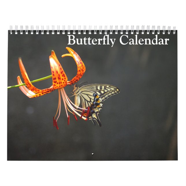 Butterflies 2025 kalender (Omslag)