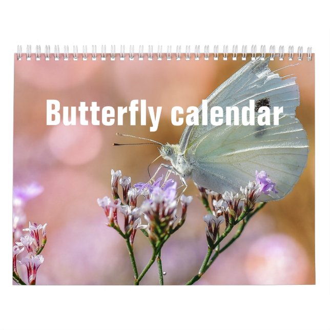 Butterflies 2025-kalender kalender (Omslag)