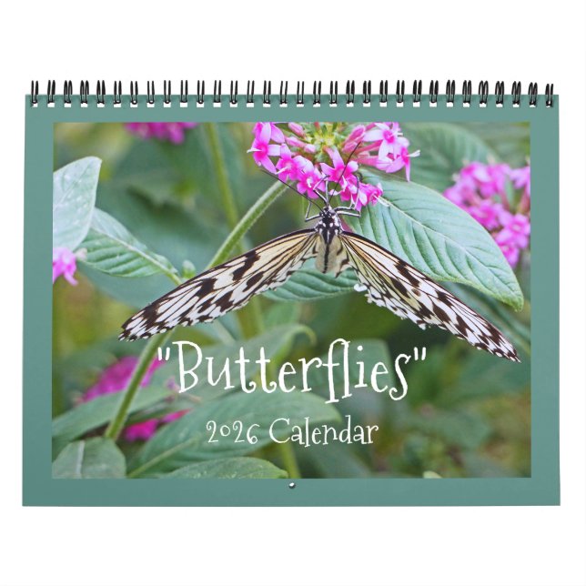 "BUTTERFLIES" 2026 KALENDER (Omslag)