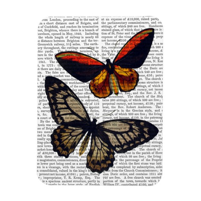 Butterflies 3 magnet (Vertikal)