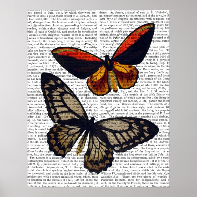Butterflies 3 poster (Framsidan)