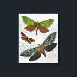 Butterflies 4 canvastryck<br><div class="desc">Djur och natur</div>