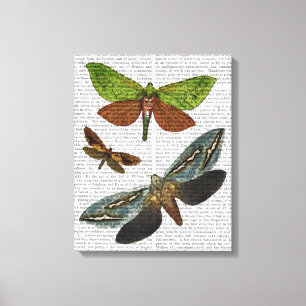 Butterflies 4 canvastryck