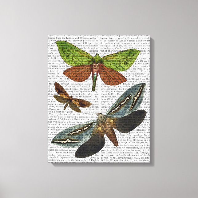 Butterflies 4 canvastryck (Framsida)