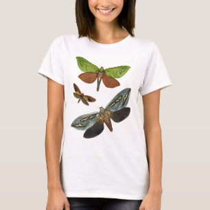 Butterflies 4 tee shirt