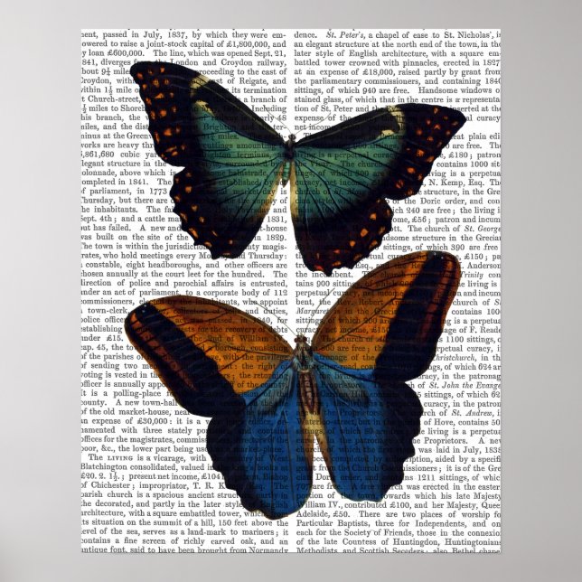 Butterflies 5 poster (Framsidan)