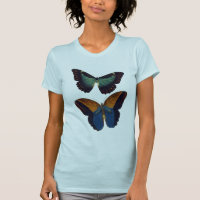 Butterflies 5