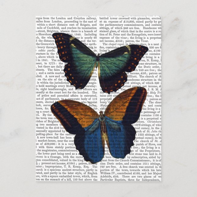 Butterflies 5 vykort (Framsida)