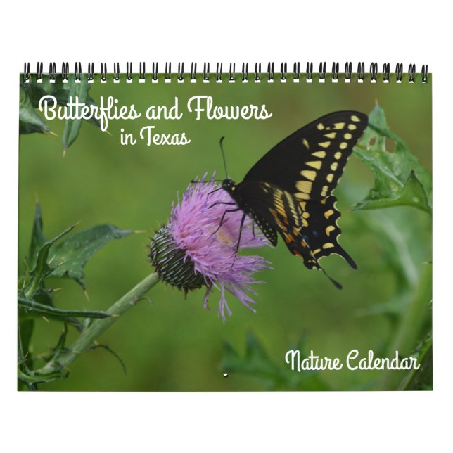 Butterflies and Flowers in Texas Nature Calendar Kalender (Omslag)