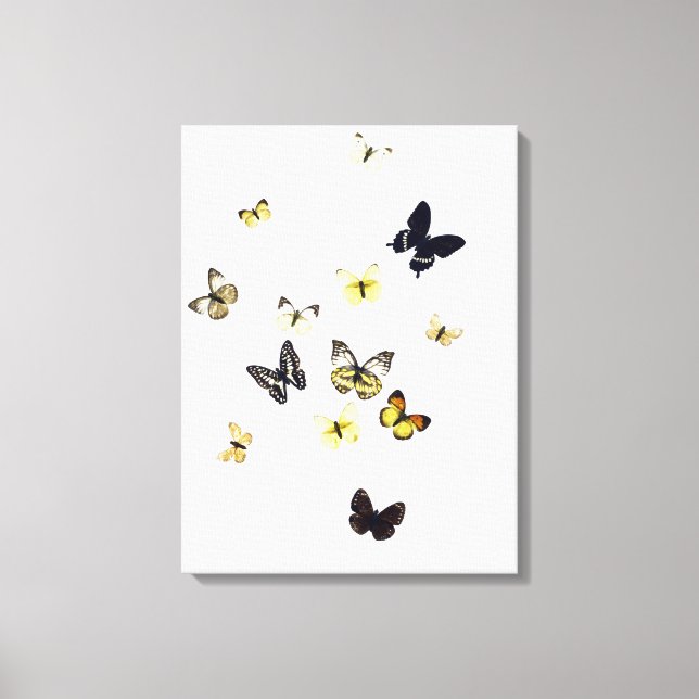 Butterflies är skjutna mot vitt canvastryck (Framsida)