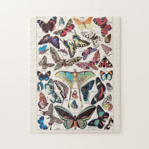 Butterflies av Adolphe Millot Pussel