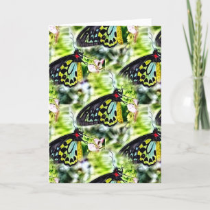 Butterflies Birthday Kort