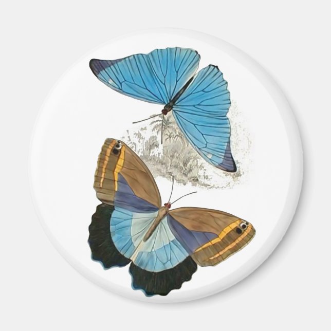 Butterflies - Blue Magnet (Framsidan)