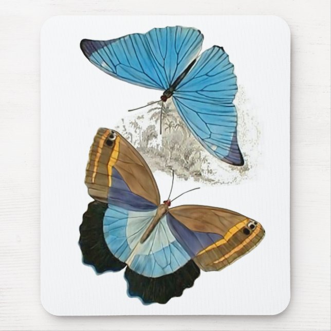 Butterflies - Blue Musmatta (Framsidan)