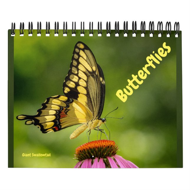 Butterflies Calendar Kalender (Omslag)