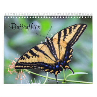 Butterflies Calendar Kalender