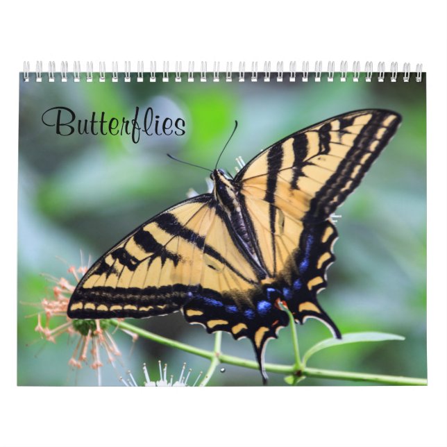 Butterflies Calendar Kalender (Omslag)