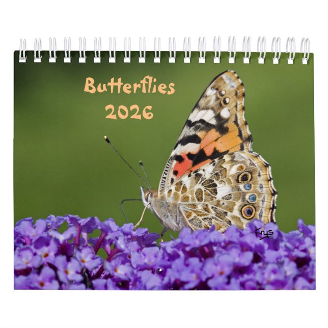 Butterflies Calendar Kalender (Omslag)