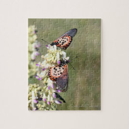 Butterflies Capture on "Amajuba Mountain" Pussel